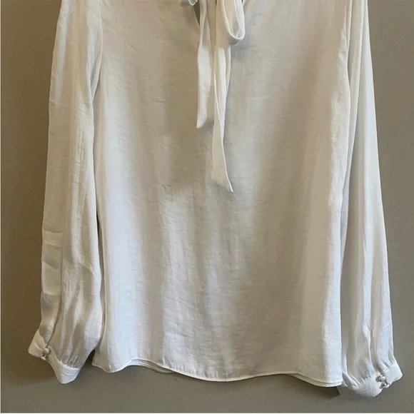 Naked Zebra White Silky High Neck Blouse & Billowy Sleeves – Size Small EUC - Picture 10 of 13
